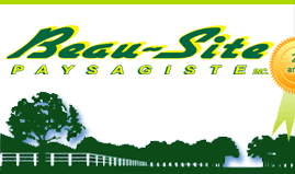 BeauSite Logo