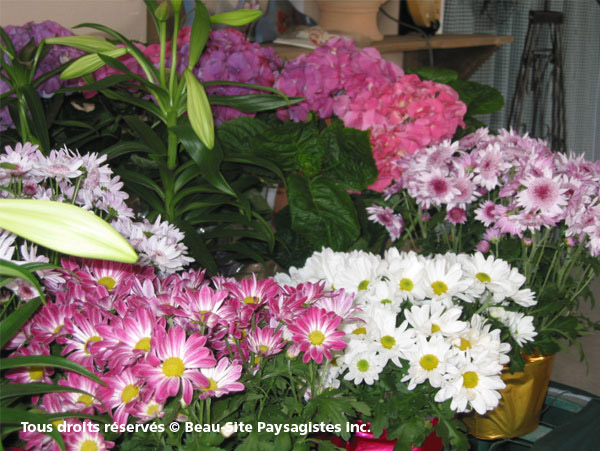 photo6